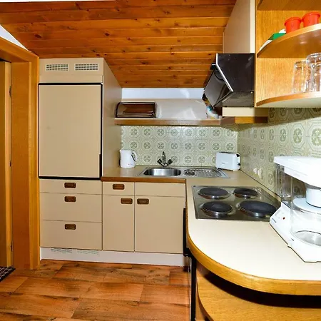 Frauenschuh Vorderhornbach